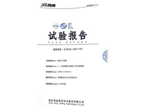低温试验报告