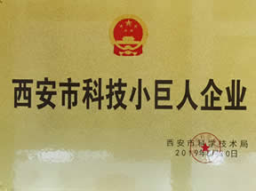 西安市科技小巨人企业