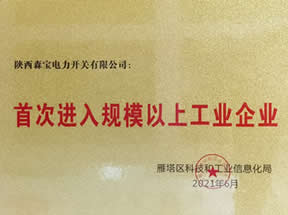 首次进入规模以上企业