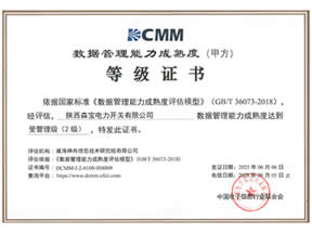 DCMM数据管理二级证书